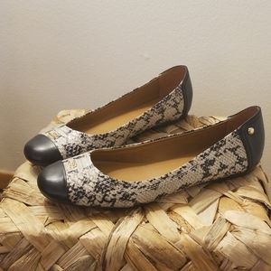 Couch snakeskin chelsea flats with black accents